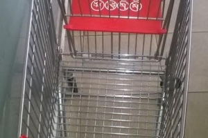 XE ĐẨY INOX, XE ĐẨY SIÊU THỊ